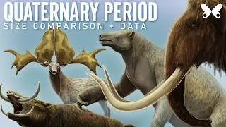 QUATERNARY Period. Animals of the Ice Age. size comparison and data