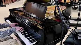 Steinway B