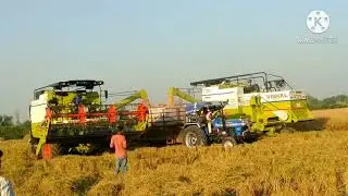 Vishal 435 Combine Harvester Working With baldev ji super sms,Review,Performance | Tractorpower |