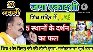 29 जनवरी माघ जया एकादशी के दिन मनोकामना पूर्ति के लिए करें ये उपाय#ekadashi#pradeepmishra#katha 