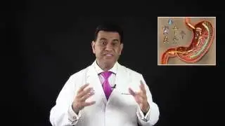 Holistic Doctors in Bergen County Northern New Jersey - Midland Park Functional Medicine