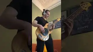 Punchy bass groove🔥#bass #bassgroove #bassplayer #bassfeatured #guitar #bajo #bassmusic #musicman