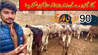 How to Start Bachra Farming in Pakistan | Farming business for 2026