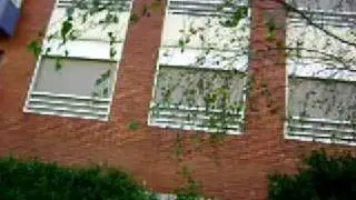 MOV00804