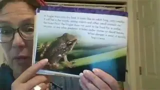 LIFE CYCLE OF A WOOD FROG