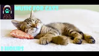 PET THERAPY : Sleep Music For Cats #1
