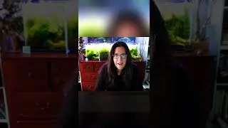 Крипт Парва: идеальное водное растение для нано-аквариума.