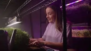 SunBrite Green Promo Video