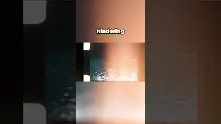 Grandpa's Hidden Fish: A Reddit Mystery