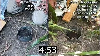 What does Healthy Soil Look Like? Water Infiltration Test & Comparison