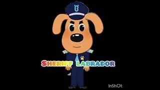 detetive labrador estrela brilhante