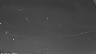 2026-01-20-RU0019-Кочеванчик