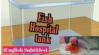 Know details of Hospital Tank