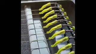 Lock Solid Bag Rigs (Corn Spec) #fishing #carpfishing #carprigs #carp