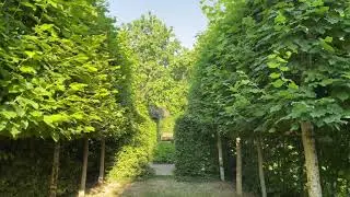 VLOG 6 - Le Jardin de la Mothe