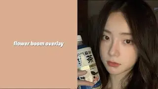 💐flower boom overlay part:1💐