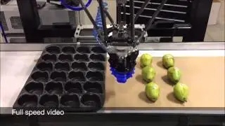 Byron Automation   Pear Handling Soft Robotics