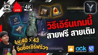 🔴Legend of Ymir Global | รวมวิธีหาเงินในเกม! ทั้งสายฟรี & สายเติม ขุด Amber ล่าบอส ตีบวกขาย ตลาด NFT