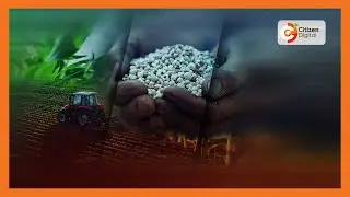 Farmers who bought fake fertiliser demand full compensation from gov&rsquo;t
