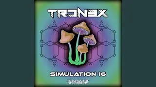 Simulation 16