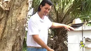 Beekeeping Series 1 Overview - Getting Started with Bees