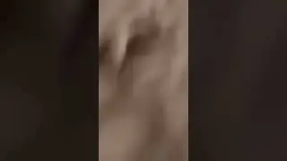 Dog Running Thru Corridor to the Subway Surfers Theme