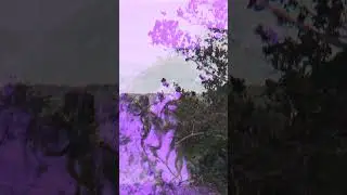 violet oscillation - inertia {out september 7th} // new shoegaze song, new dream pop music