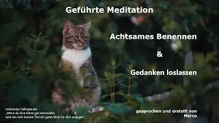 Geführte Meditation   Achtsames Benennen & Gedanken loslassen