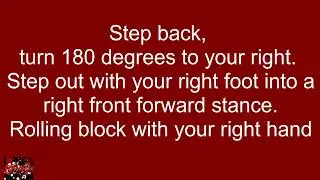 Team JMA Forms Video Series   Taikyoku Shodan step by step