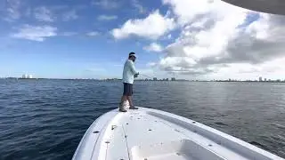 Fly fishing on T2 in Biscayne Bay. @hitthatagain @DavidNeblett