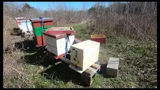 Moving a weak colony to a NUC, Entrance size explanation and straps