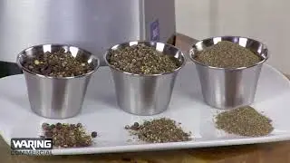 WSG60 Spice Grinder, Waring Commercial