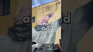 Street Art Tour in Jaco!