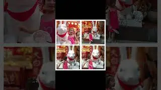 yu yuan garden with the kids #vlog #thingstodoinchina #thingstodoinshanghai