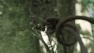 Handheld B-roll | Solo Nature shots | Edited to music