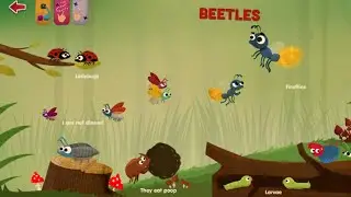 Beetles 🪲🪲. What are Beetles? Types of Beetles. Ladybug, Fireflies