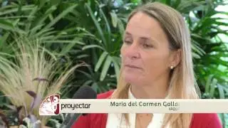 &iquest;C&oacute;mo se componen las capas y los sustratos de los techos verdes?