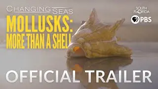Mollusks: More Than A Shell - Official Trailer