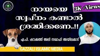 നായയെ സ്വപ്നം കണ്ടാൽ ശ്രദ്ധിക്കണേ.../nayaye swapnam kandaal shredhikkane.