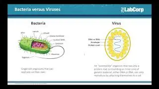 COVID-19: Laboratory Testing for Virus Presence and Antibody Response