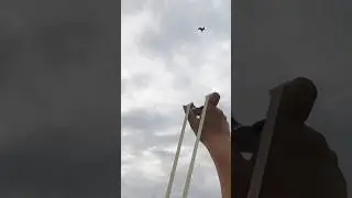 Vietnamese crossbowman's flying shooting skills #slingshot #huntingbird #birdsofamerica