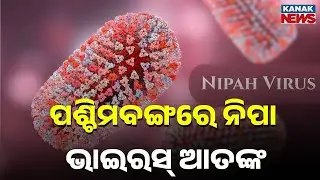 Nipah Virus Alert in West Bengal | 2 Suspected Cases Detected, Centre on High Alert