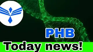 PHB Coin Price Prediction! Phoenix PHB Today News & Analysis