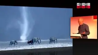 Mike Gunton, of BBC's Natural History Unit: The New Storytellers | WIRED 2013 | WIRED