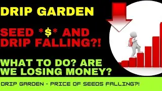 DRIP Garden Seed Price $ Falling?! - What To Do? - Should I Be Worried? - DRIP Garden General Tip