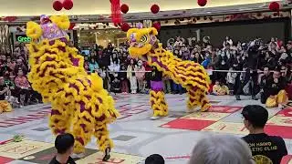 Lion Dance in Richmond Canada 2025