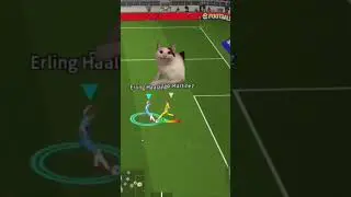 Cat playing football 🐈😹 . Efootball 2025 . Efootball funny video. PES mobile 2021 . #efootball2025