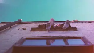 Gairy Humball - Out Of It (official video)