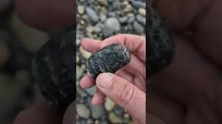 A fossilized piece of Solitary Rugose Coral 🪸 County Donegal, Ireland.