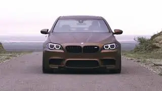M5 LIMMA